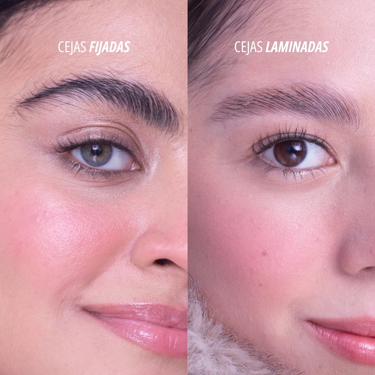 Gel Fijador de Cejas Freeze Babes Anik