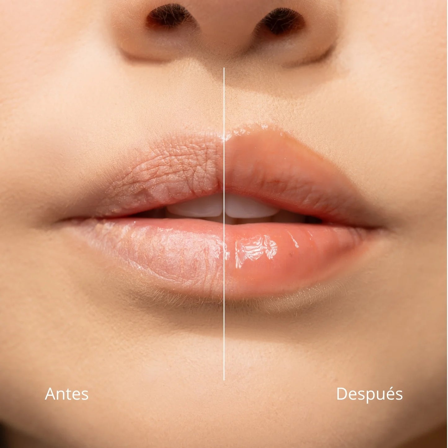 Hidratante de Labios Lip Balm